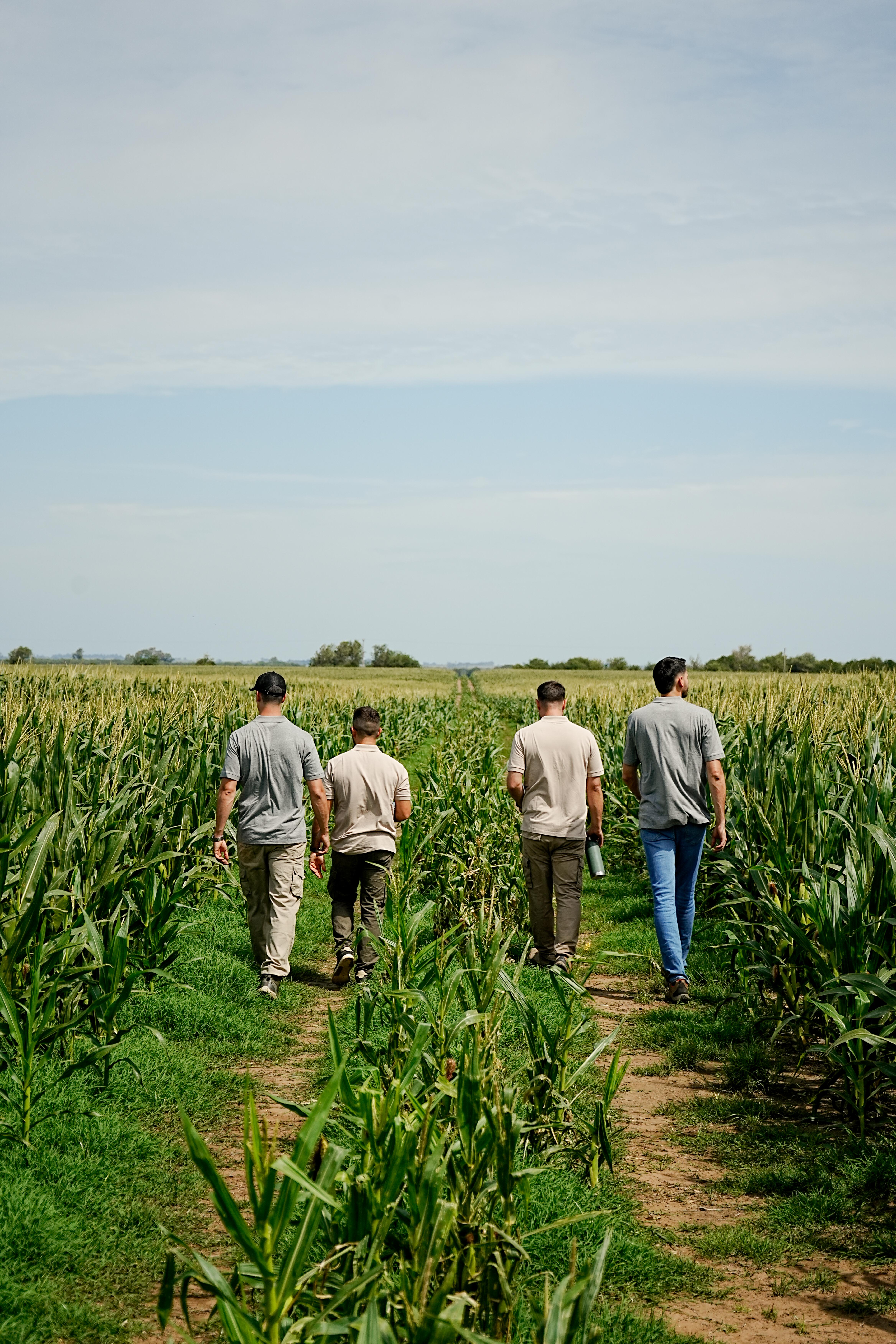 Equipo Agrinova en el campo