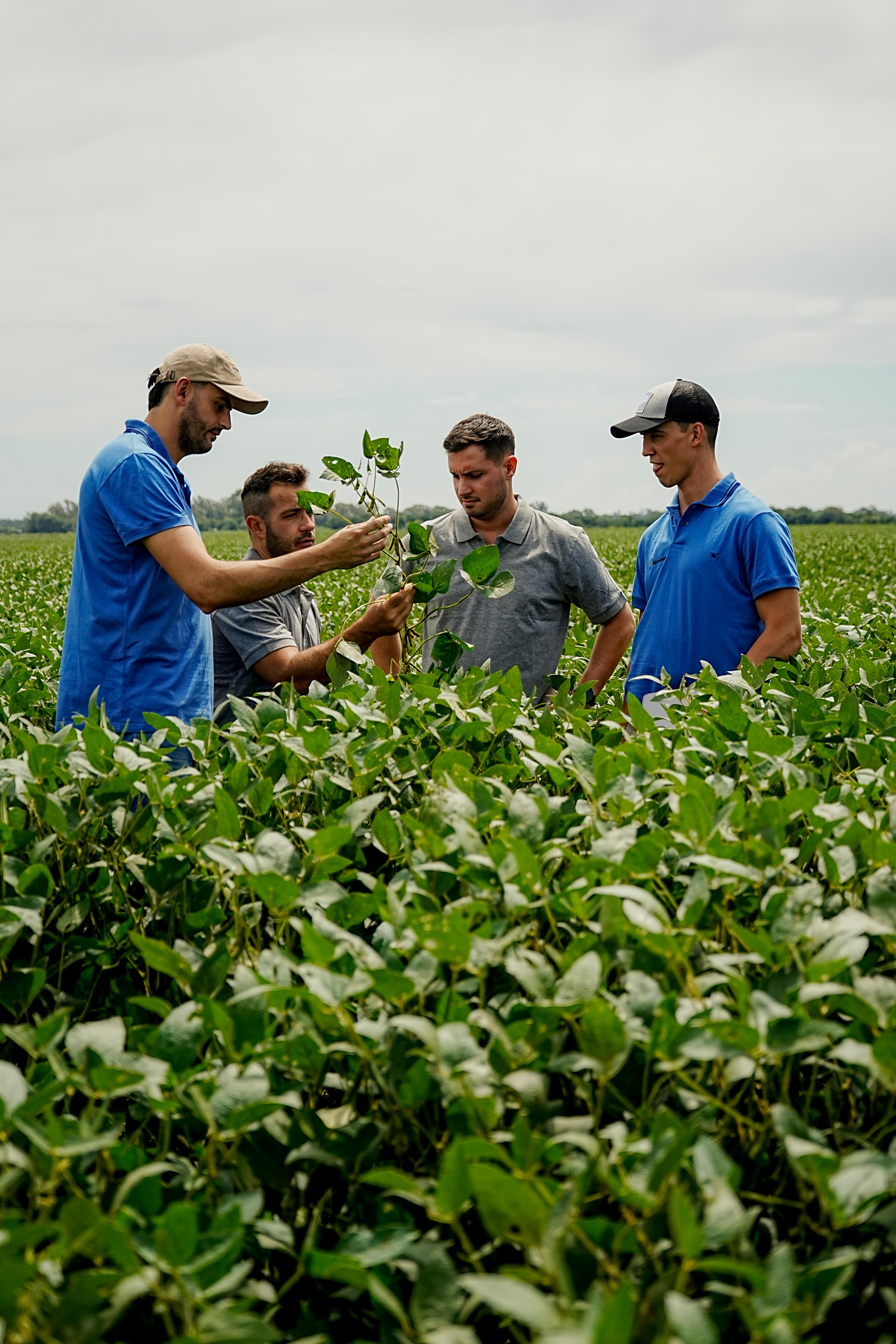 Equipo Agrinova en el campo